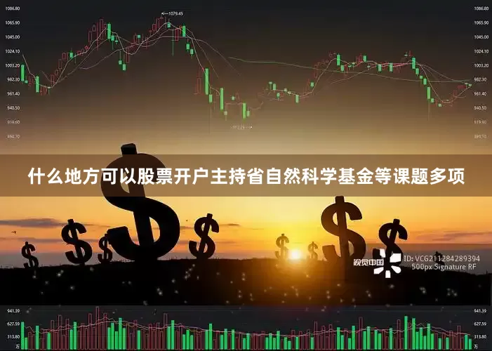 什么地方可以股票开户主持省自然科学基金等课题多项